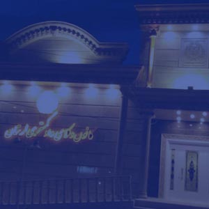 کمیسیون-پارلمانی